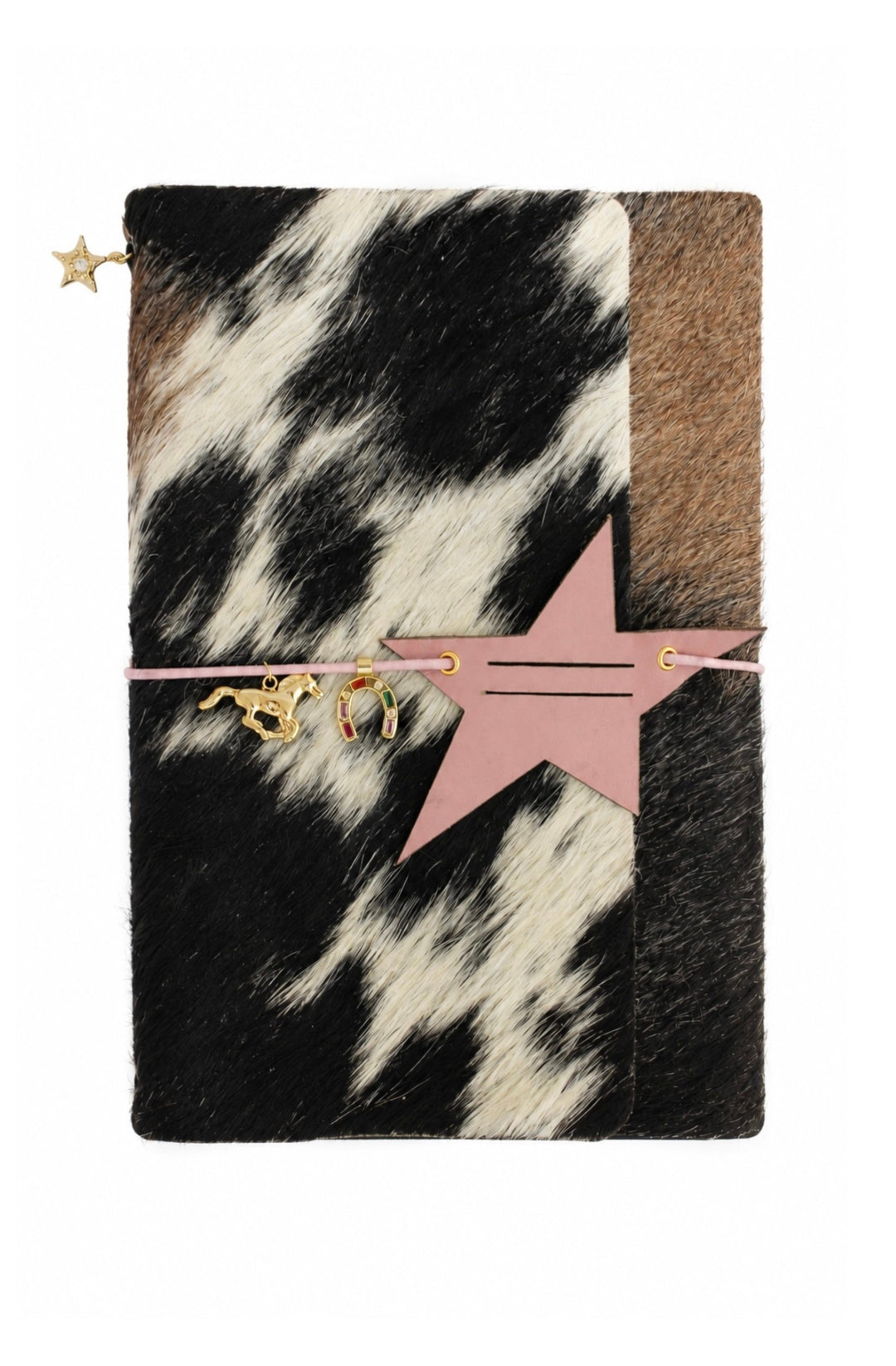 Journal vaquita